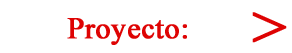 Proyecto Tz